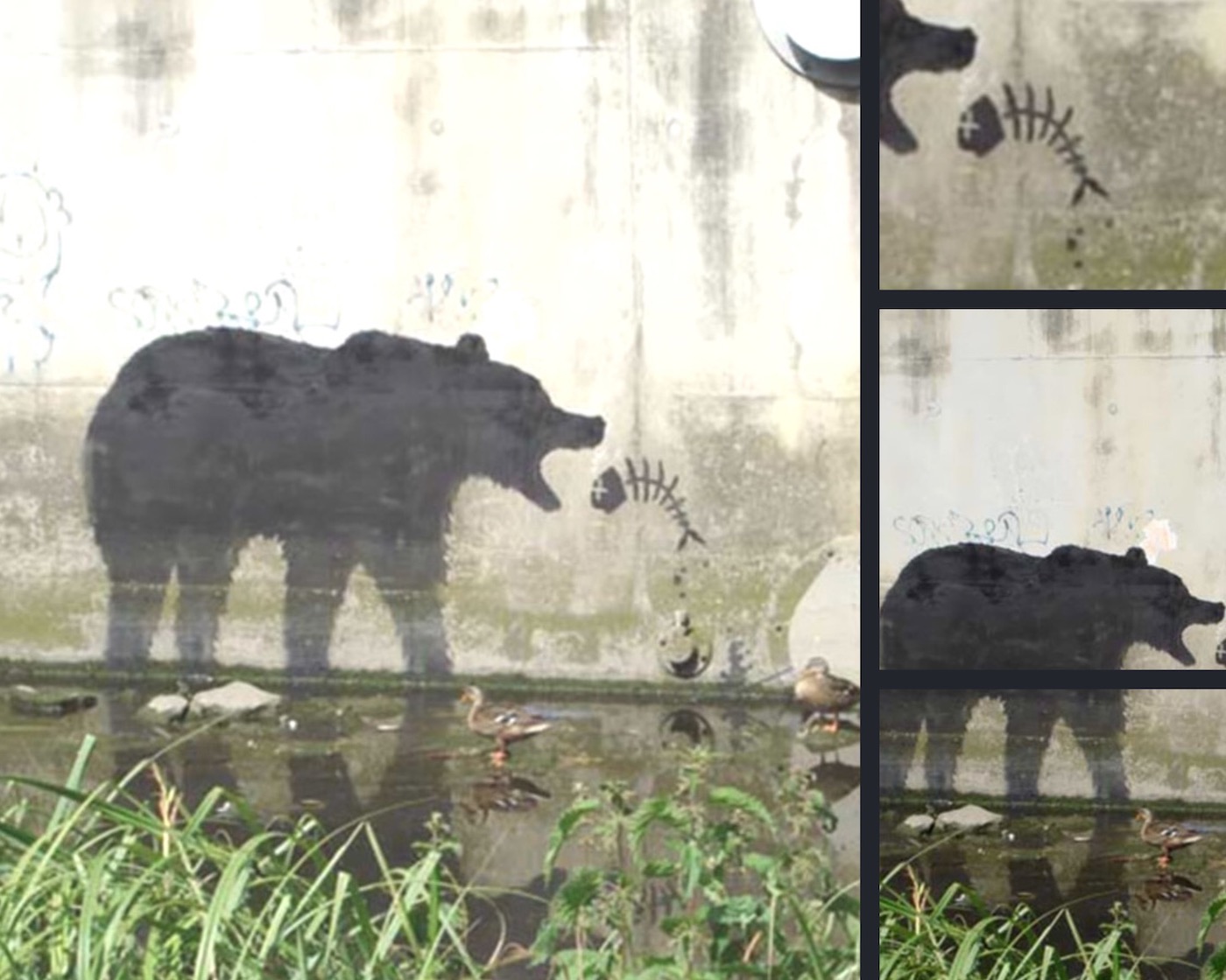 street art tema sustainability: inquinamento dei mari che distrugge l'ecosistema