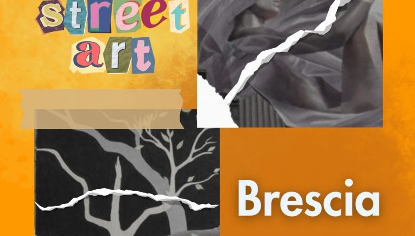 street art murales arte urbana arte contemporanea progetto artistico brescia