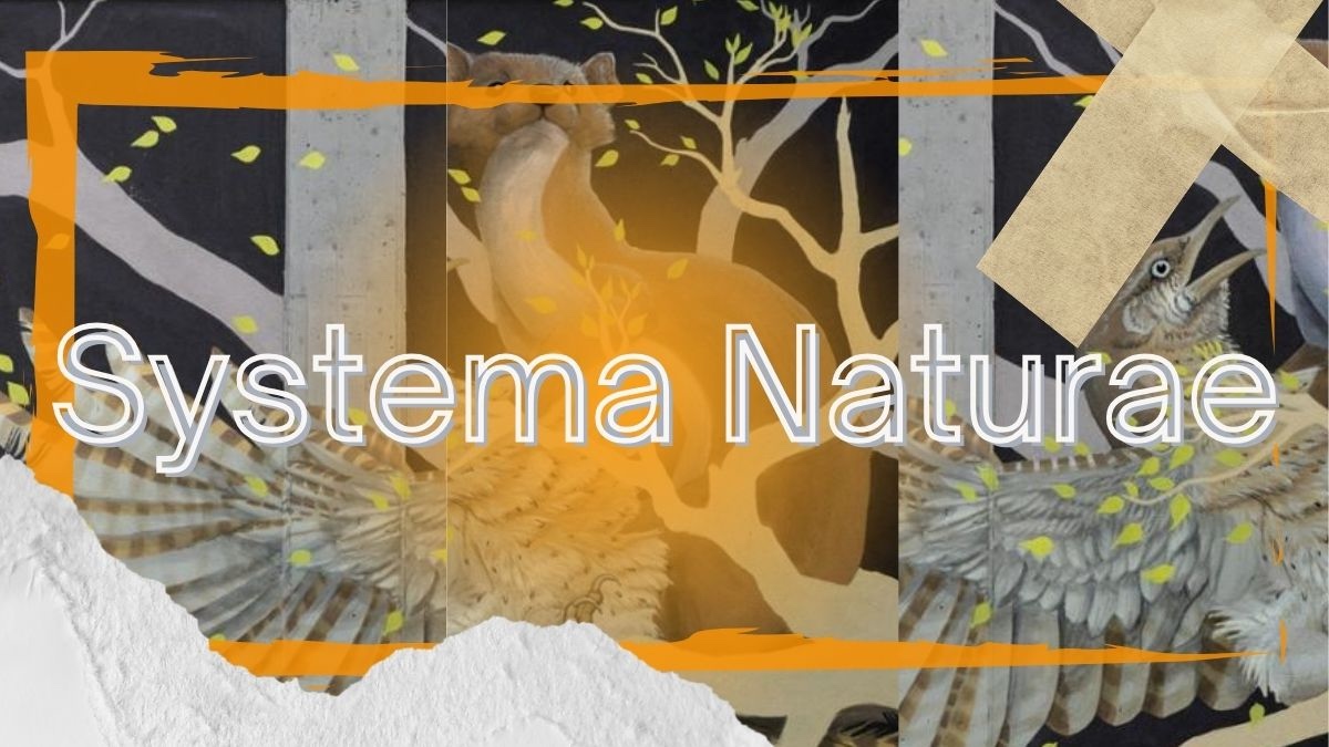 street art murales opere arte contemporanea progetto artisticoarte urbana brescia Italia systema naturae