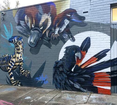 murales-australian-mate-1