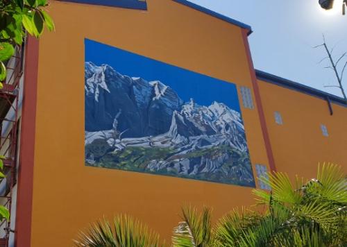 murales personalizzati milano nord italia graffiti su commissione street art Mostrami
